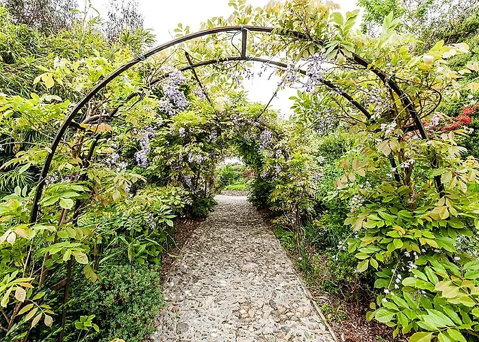 Lis-ardagh Panzió 4*