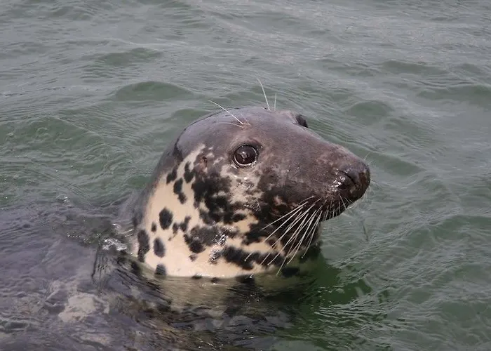 Lis-ardagh Bed & Breakfast 4*